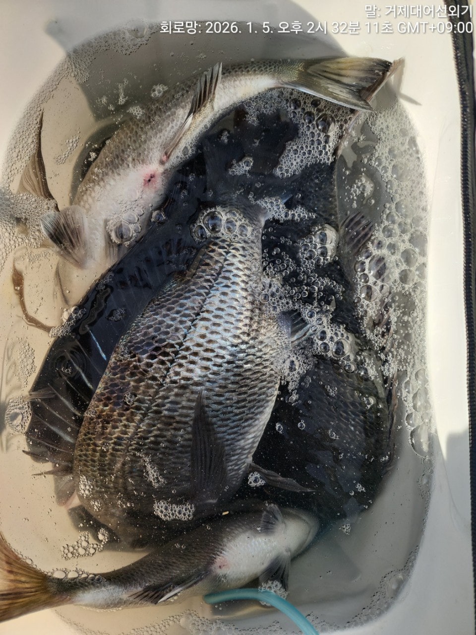 ����ڰ� �ø� �̹���