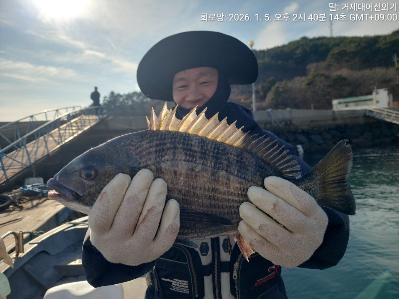 ����ڰ� �ø� �̹���