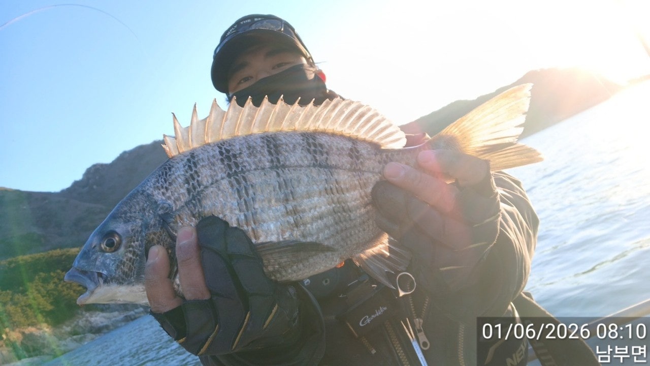 사용자가 올린 이미지