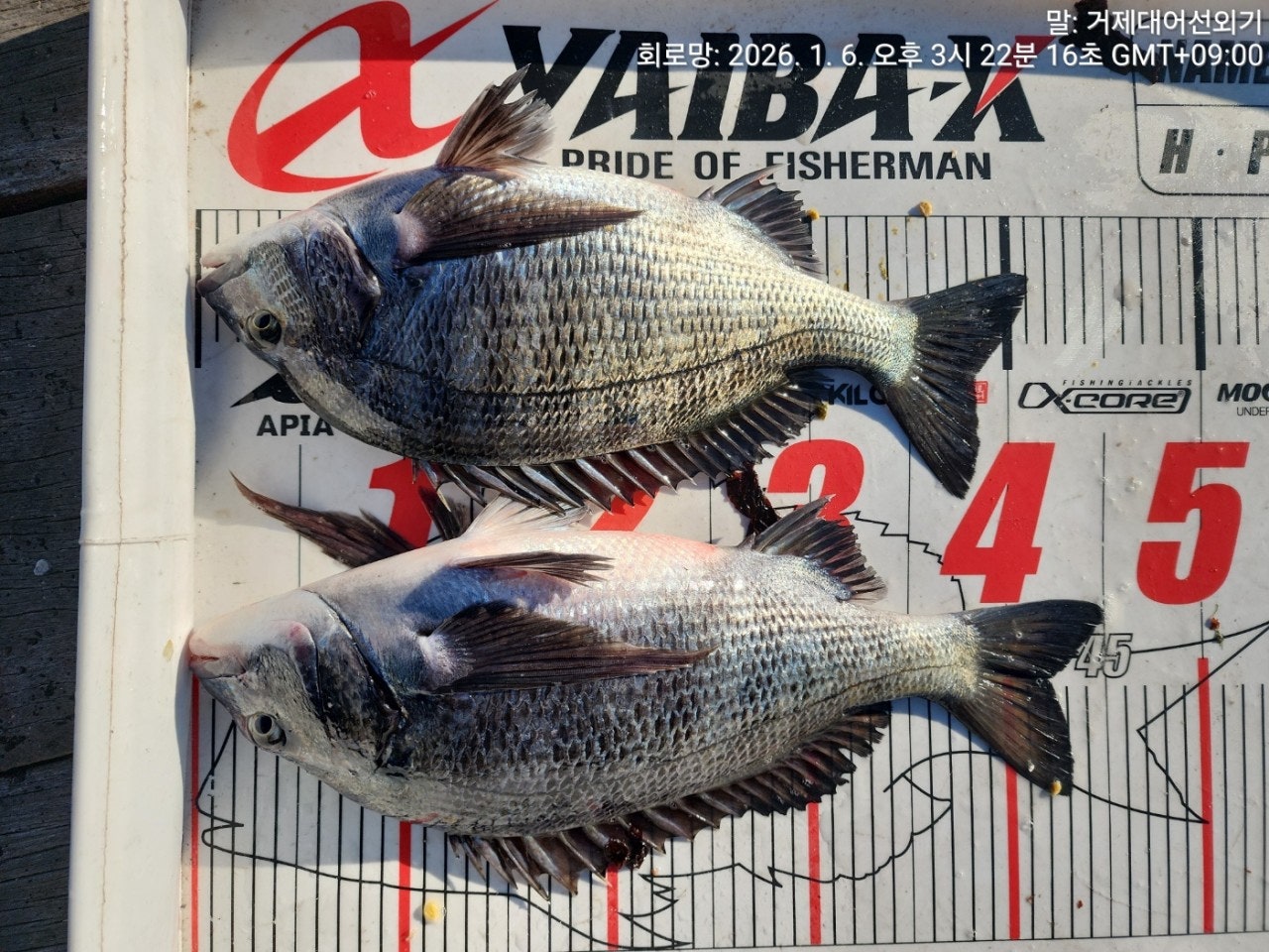 ����ڰ� �ø� �̹���