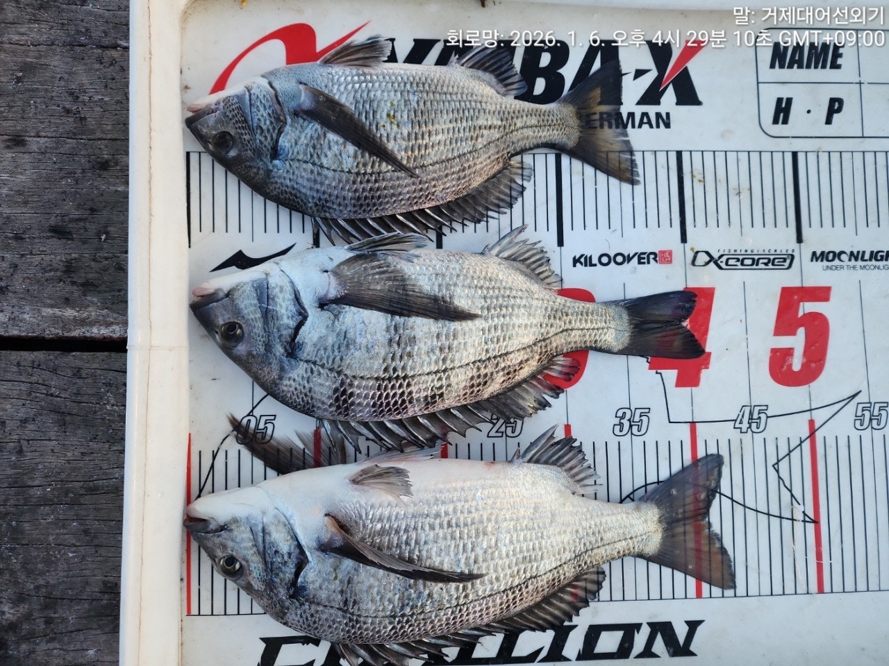 ����ڰ� �ø� �̹���