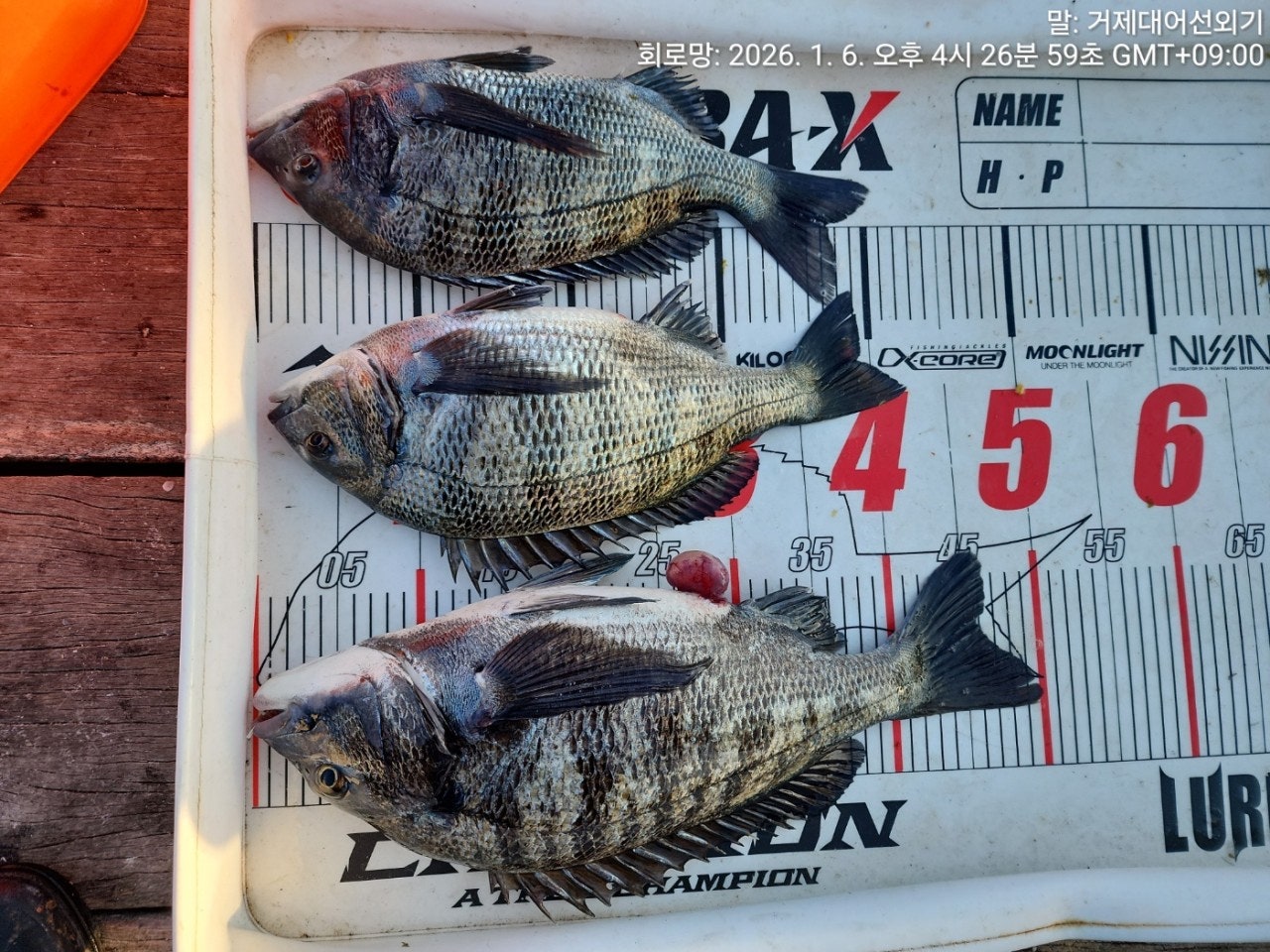 ����ڰ� �ø� �̹���