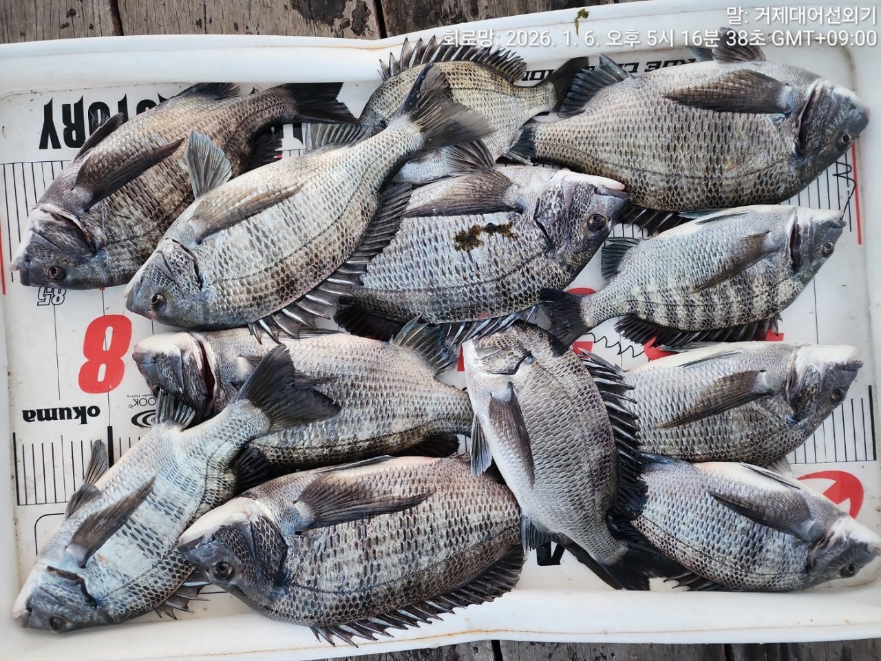 ����ڰ� �ø� �̹���