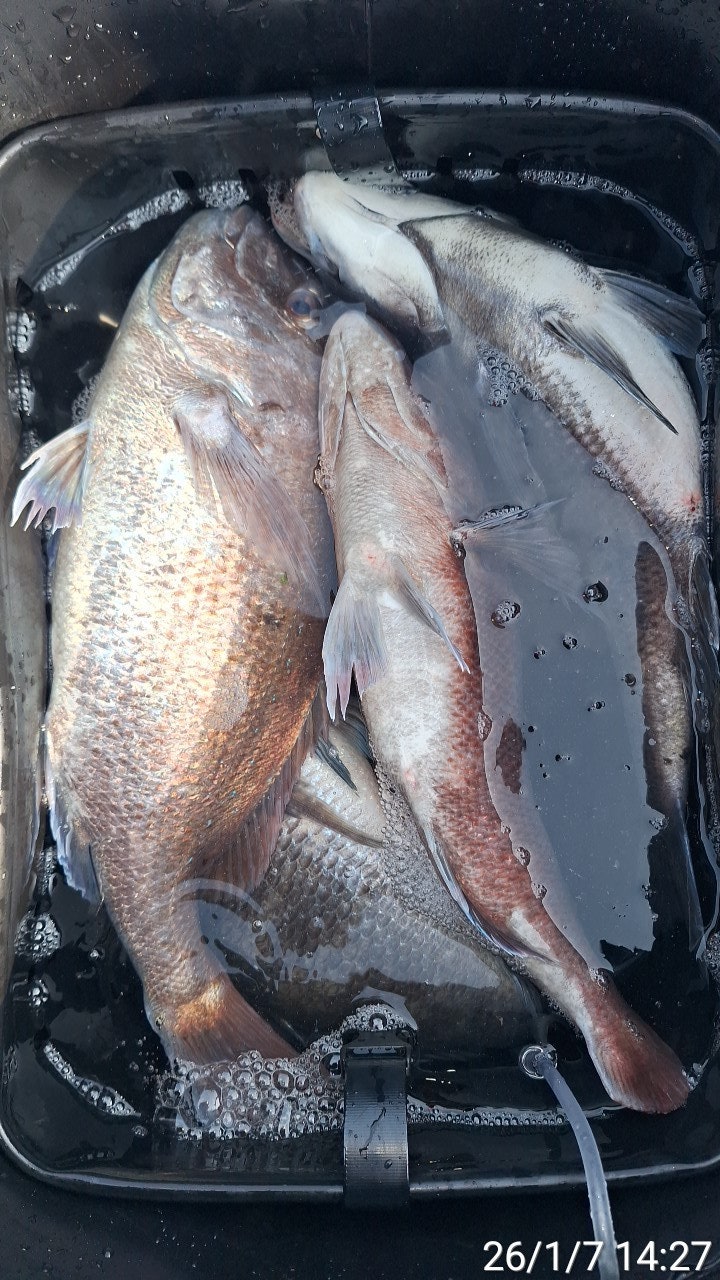 ����ڰ� �ø� �̹���