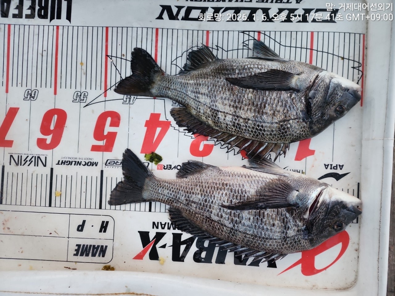 ����ڰ� �ø� �̹���