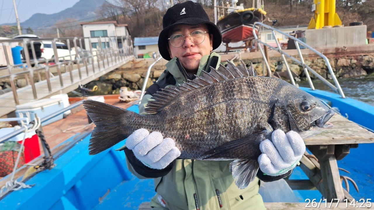 ����ڰ� �ø� �̹���