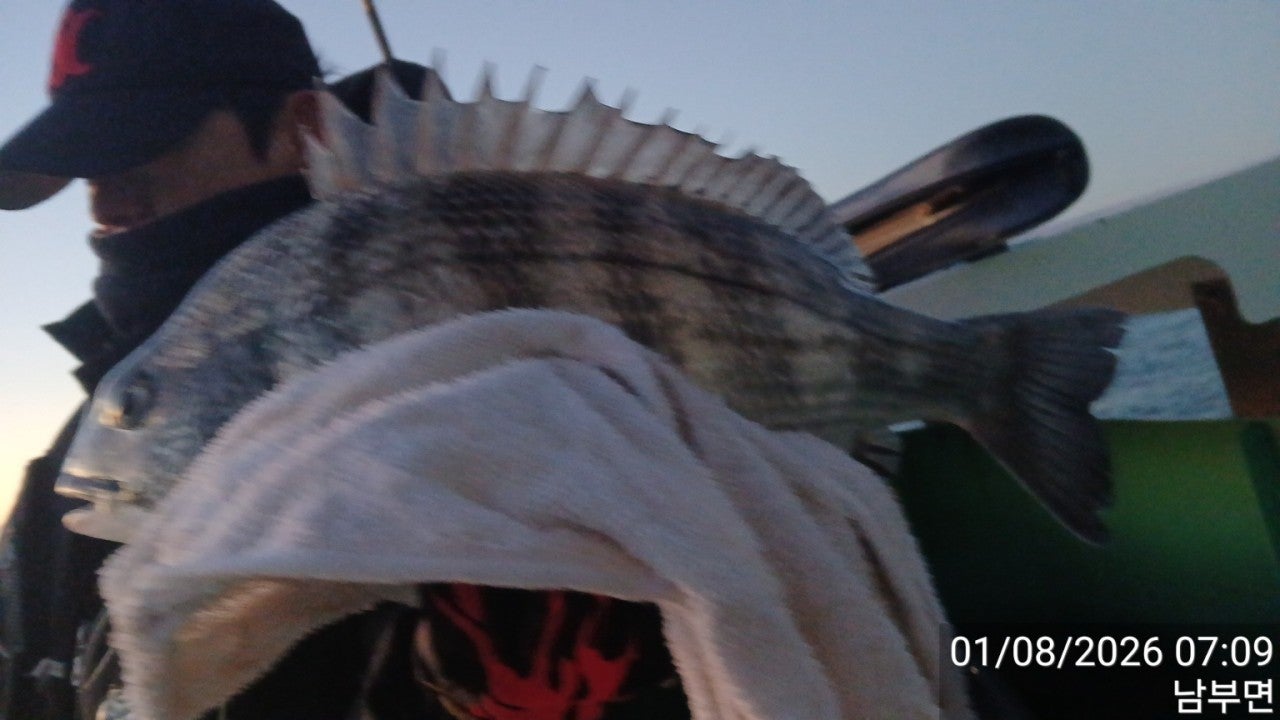 사용자가 올린 이미지