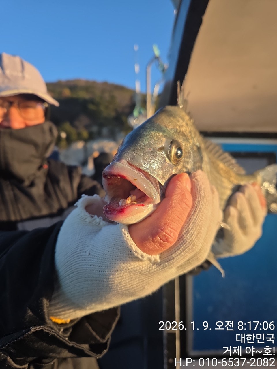 사용자가 올린 이미지