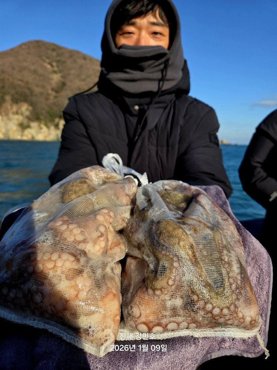 사용자가 올린 이미지