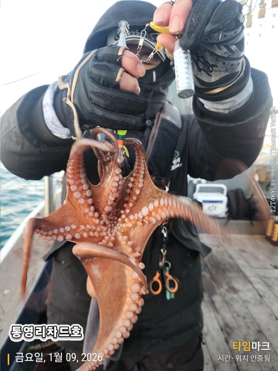 사용자가 올린 이미지