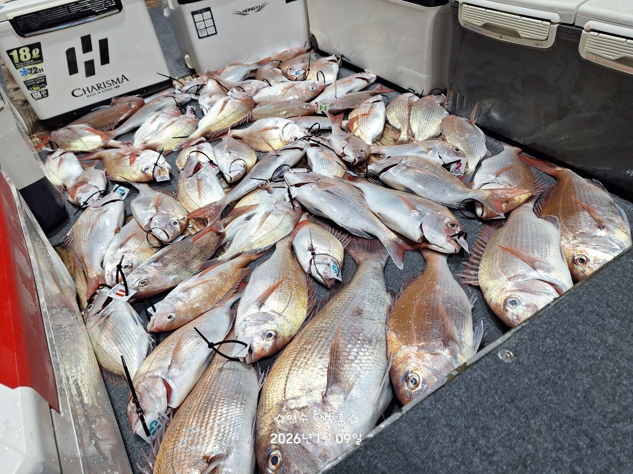 사용자가 올린 이미지