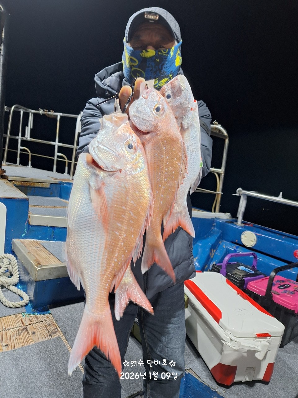 사용자가 올린 이미지