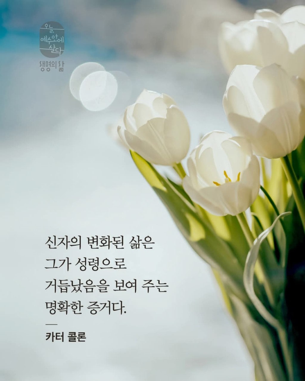 ����ڰ� �ø� �̹���