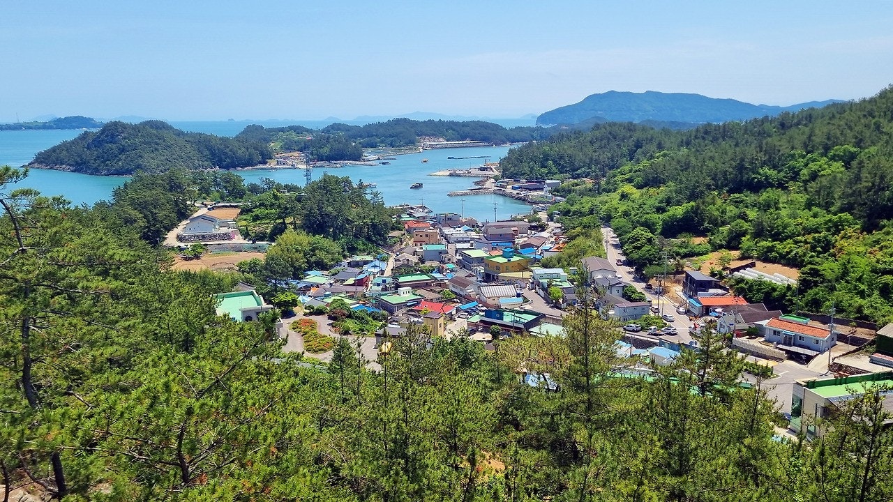 사용자가 올린 이미지