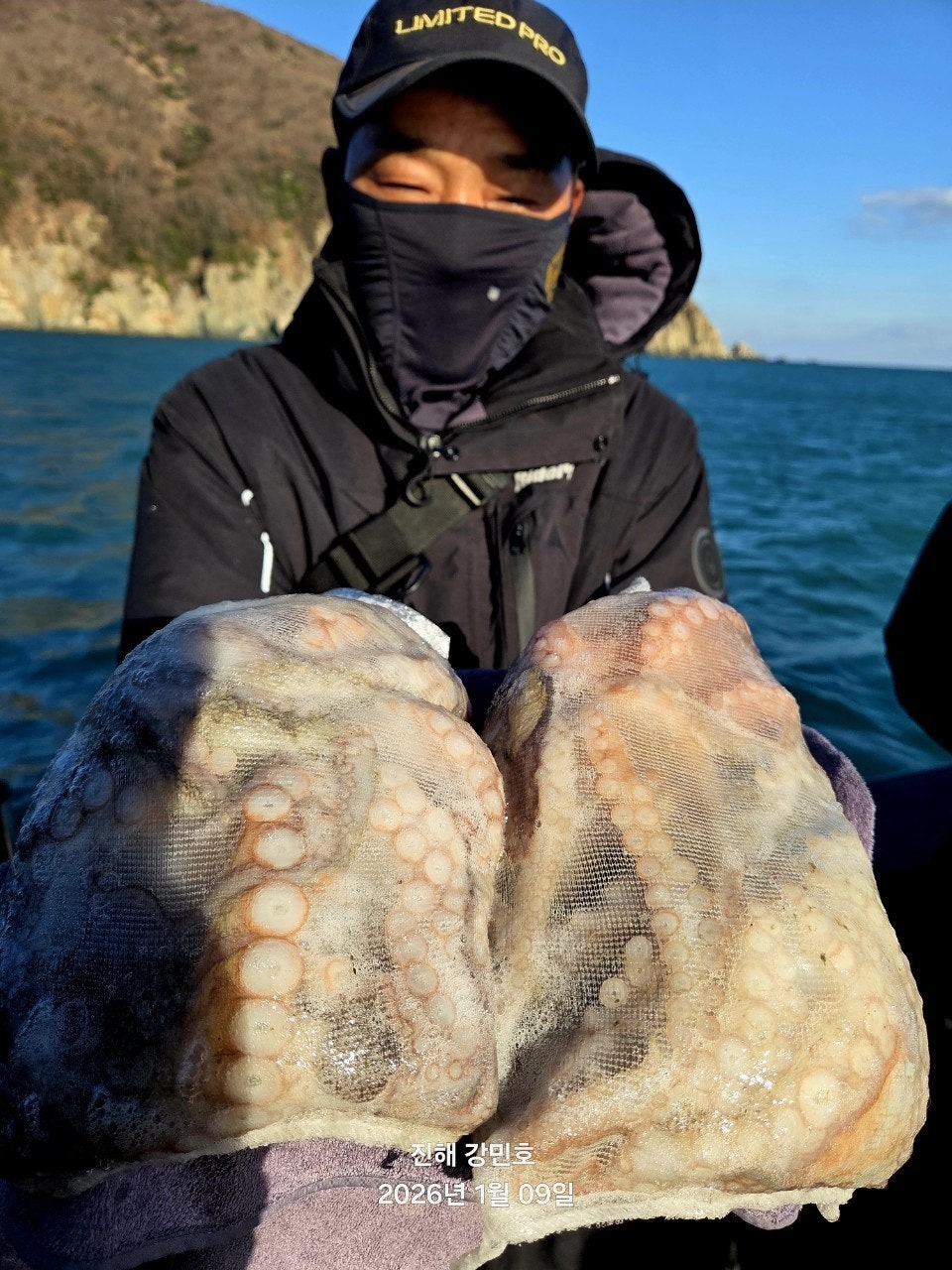 사용자가 올린 이미지