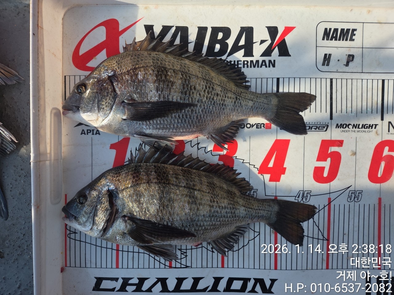 사용자가 올린 이미지