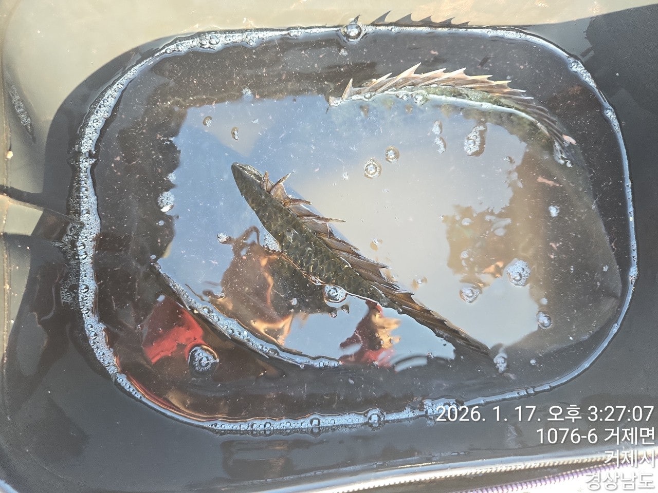 사용자가 올린 이미지