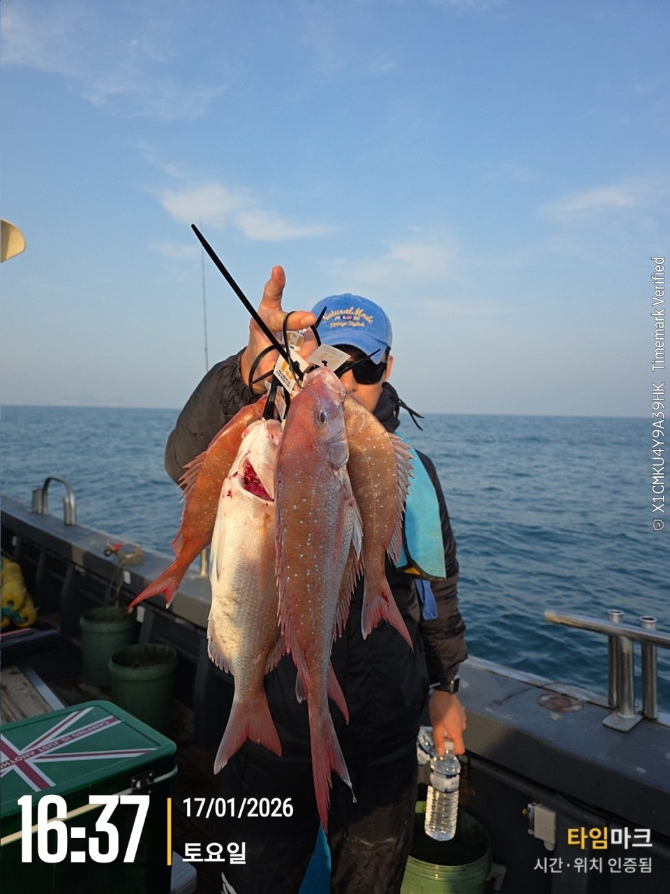 사용자가 올린 이미지