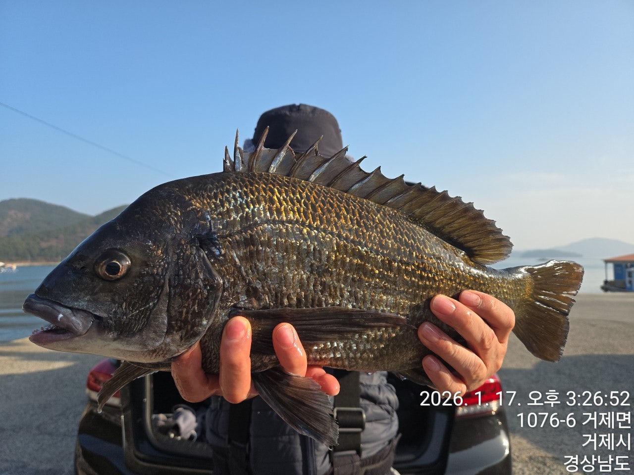 사용자가 올린 이미지