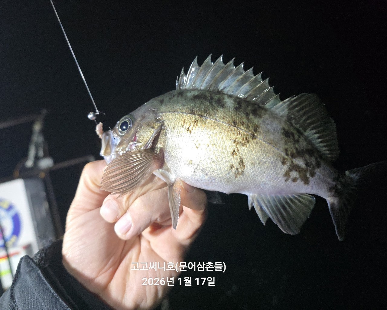 사용자가 올린 이미지