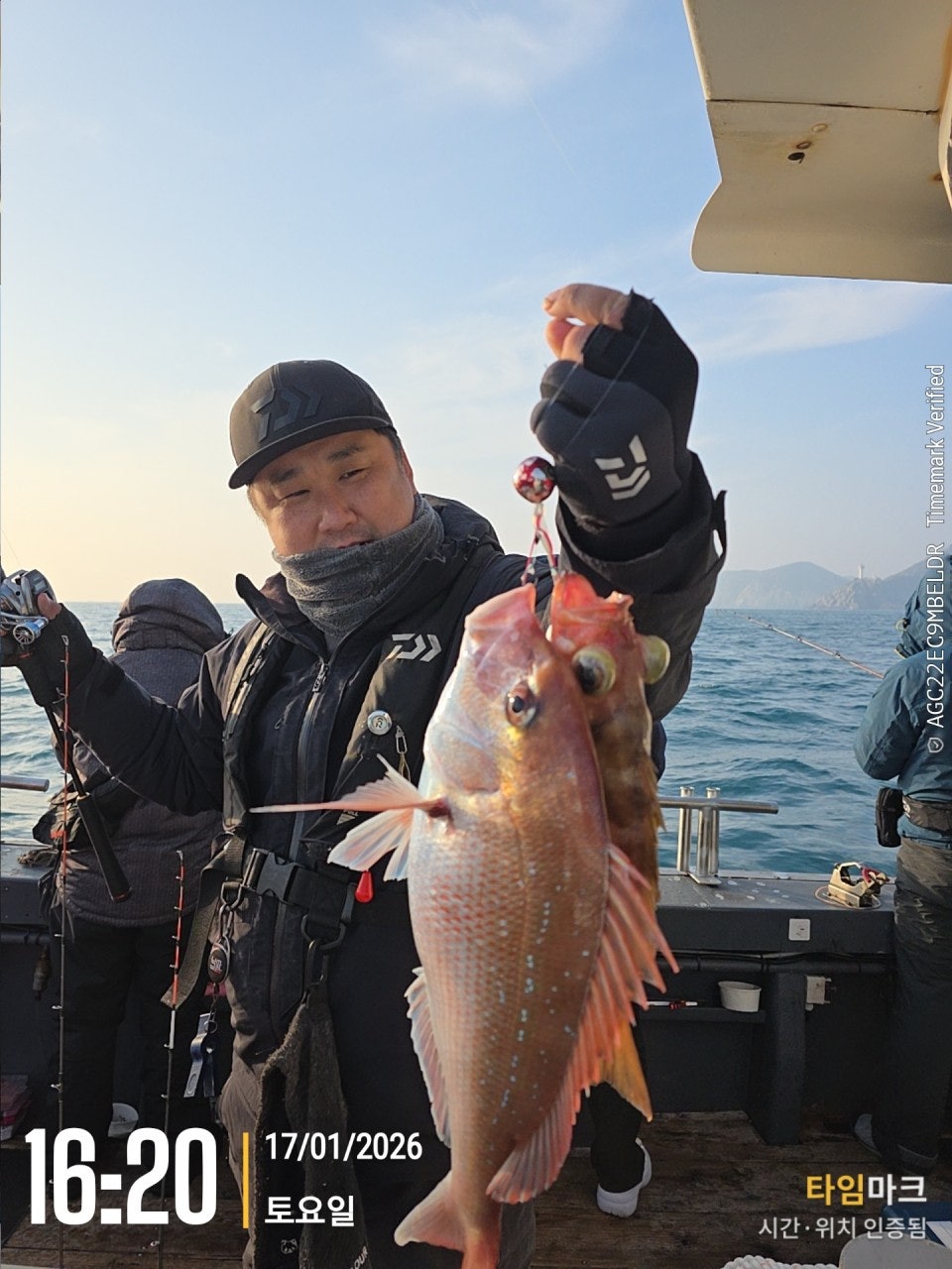 사용자가 올린 이미지