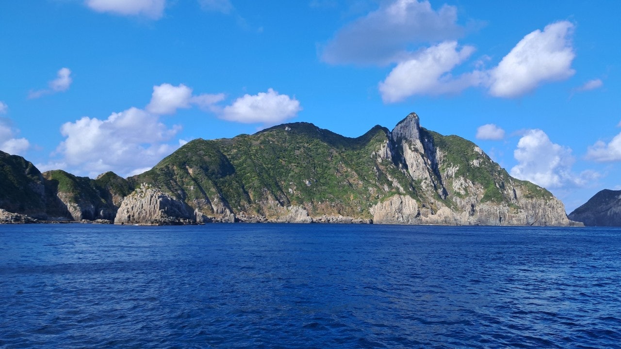 ����ڰ� �ø� �̹���