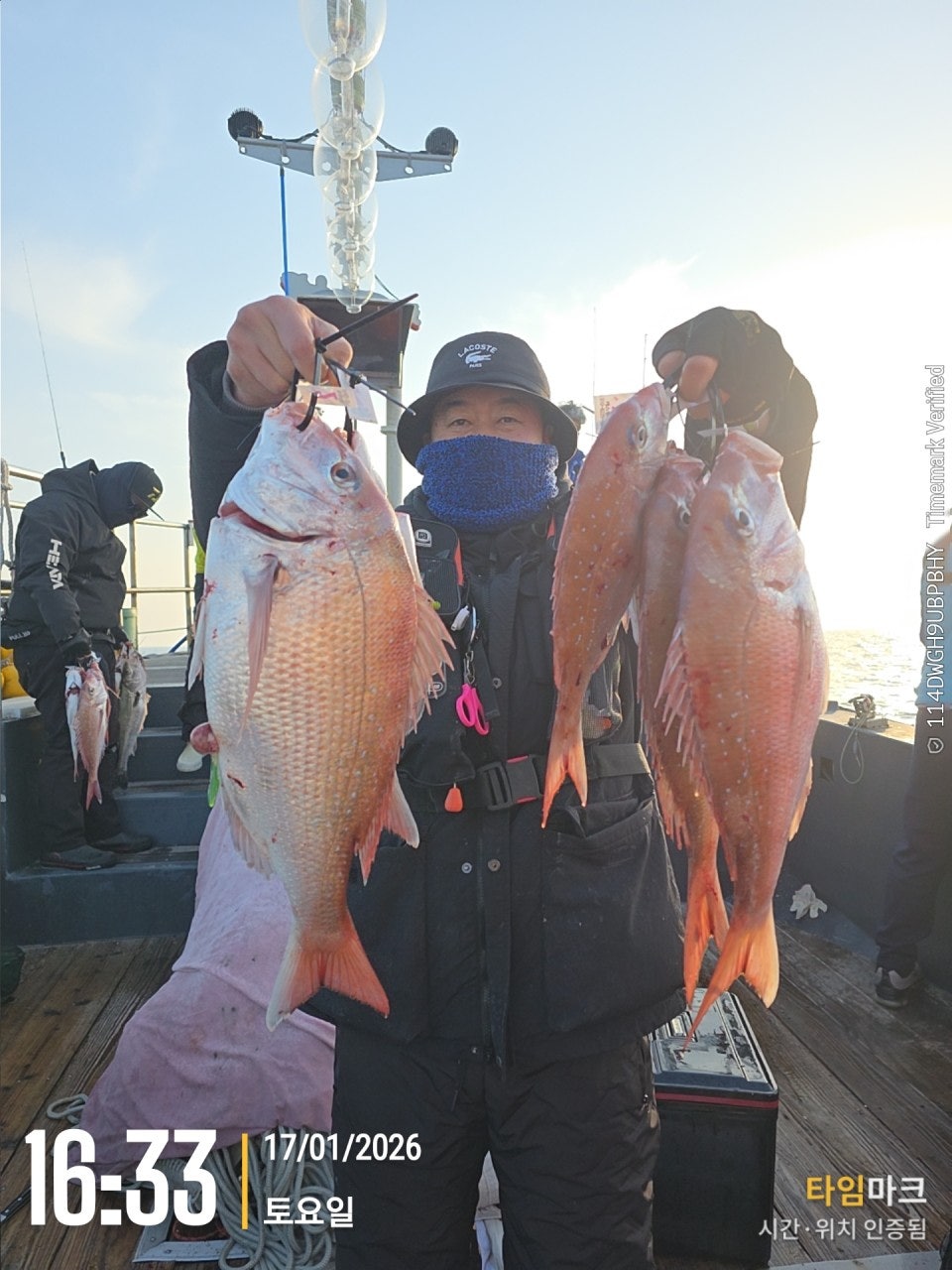 사용자가 올린 이미지