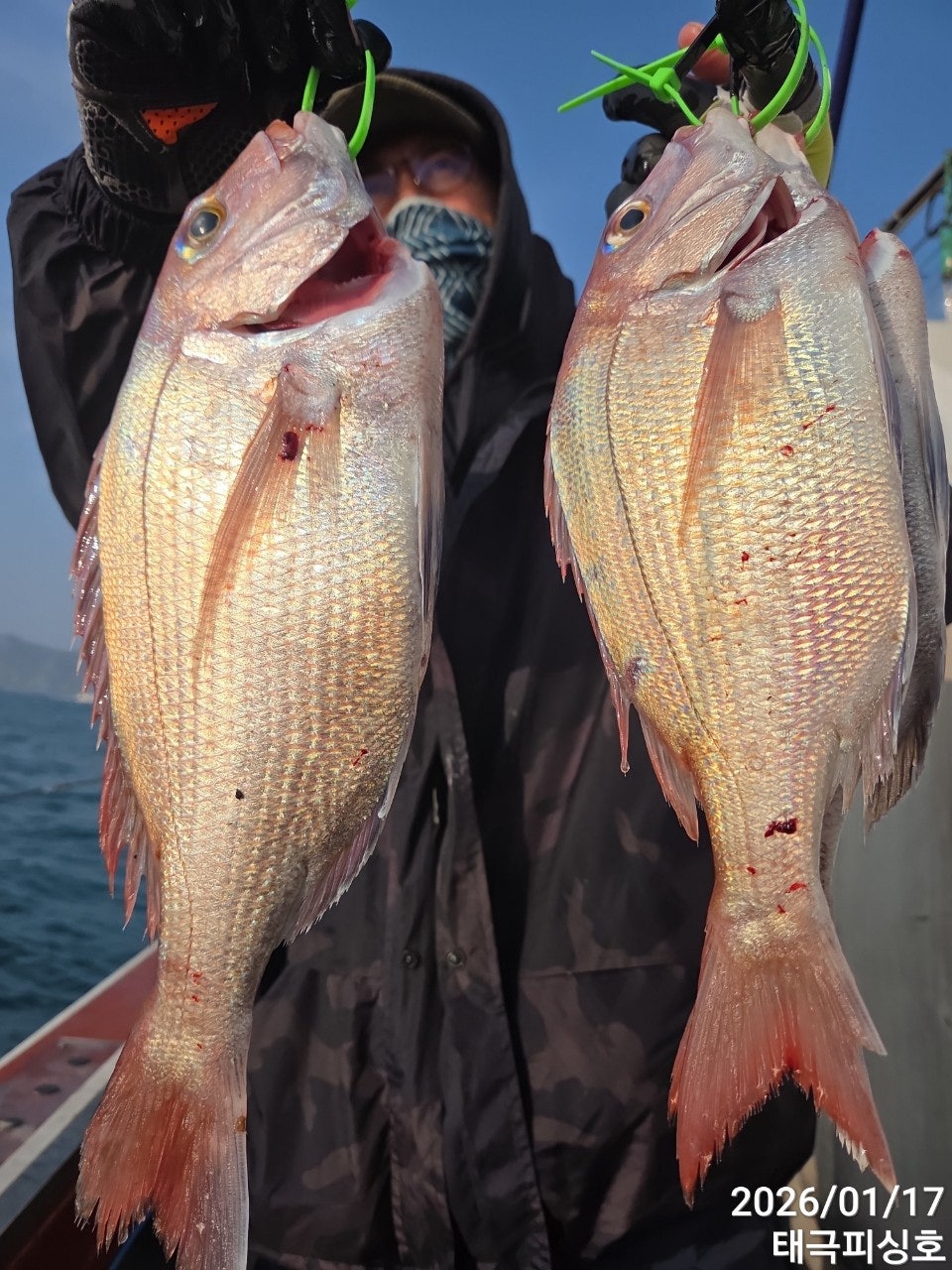 사용자가 올린 이미지