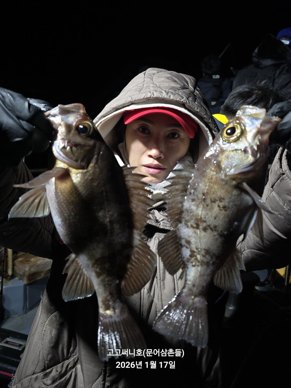 사용자가 올린 이미지