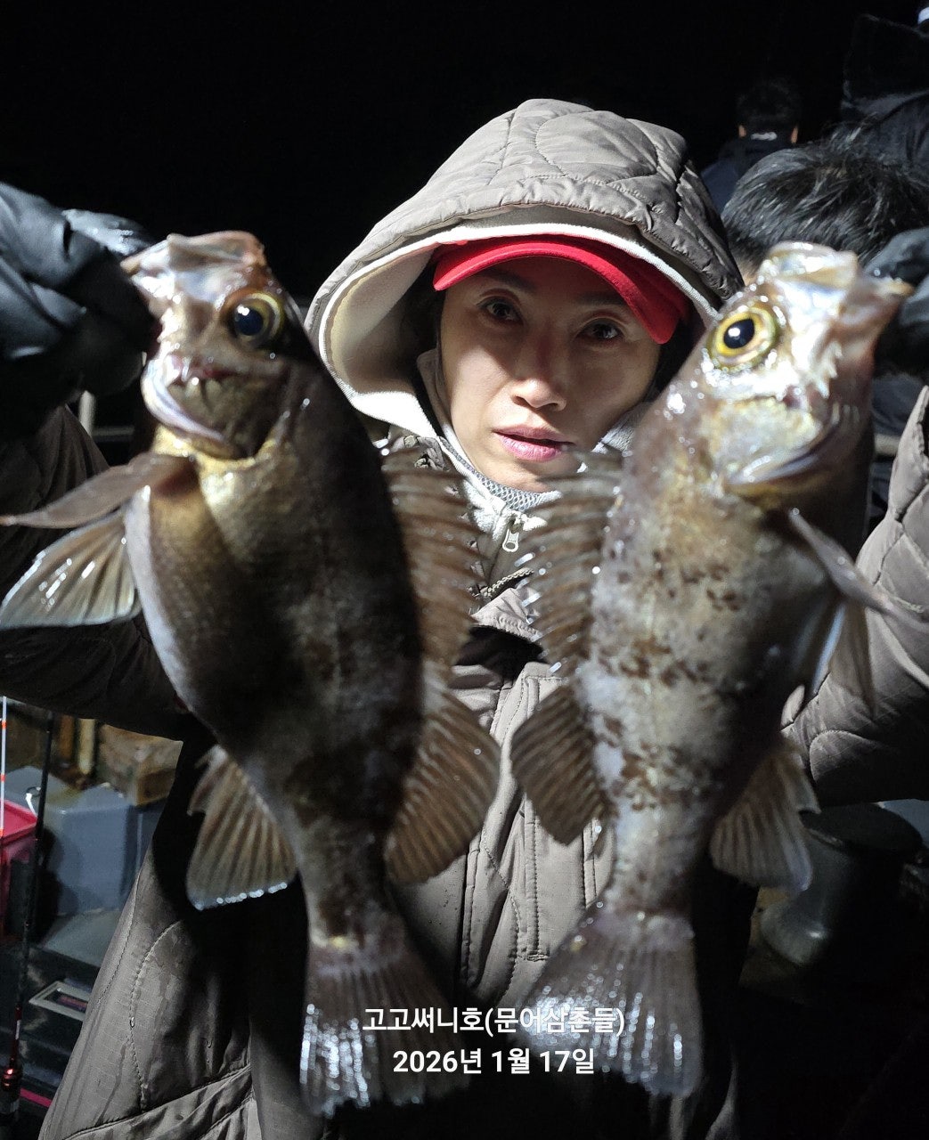 사용자가 올린 이미지