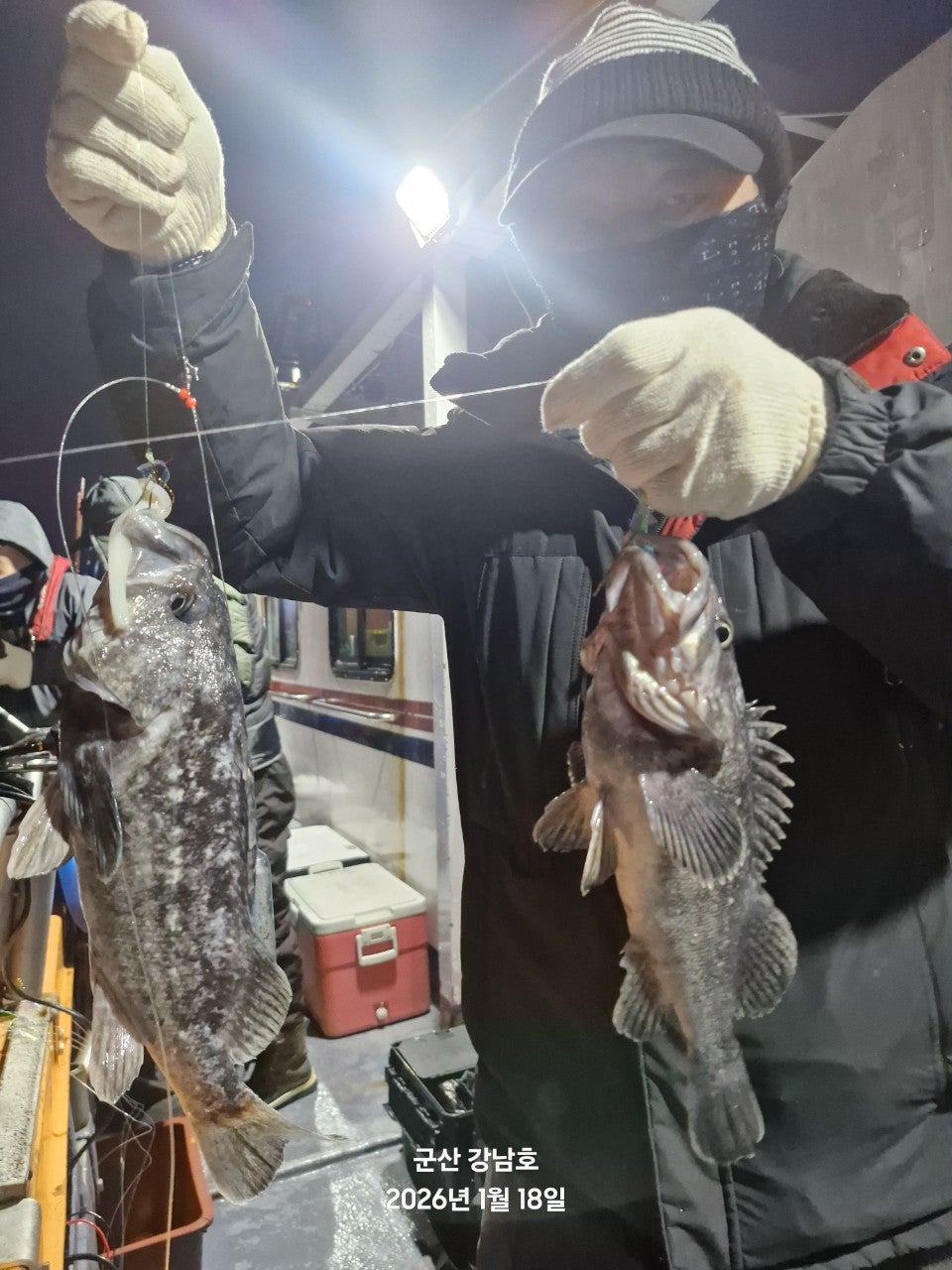 사용자가 올린 이미지