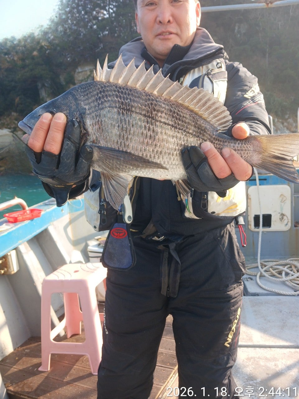 사용자가 올린 이미지