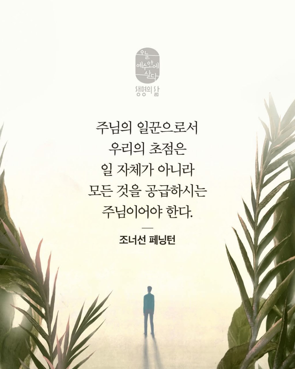 ����ڰ� �ø� �̹���