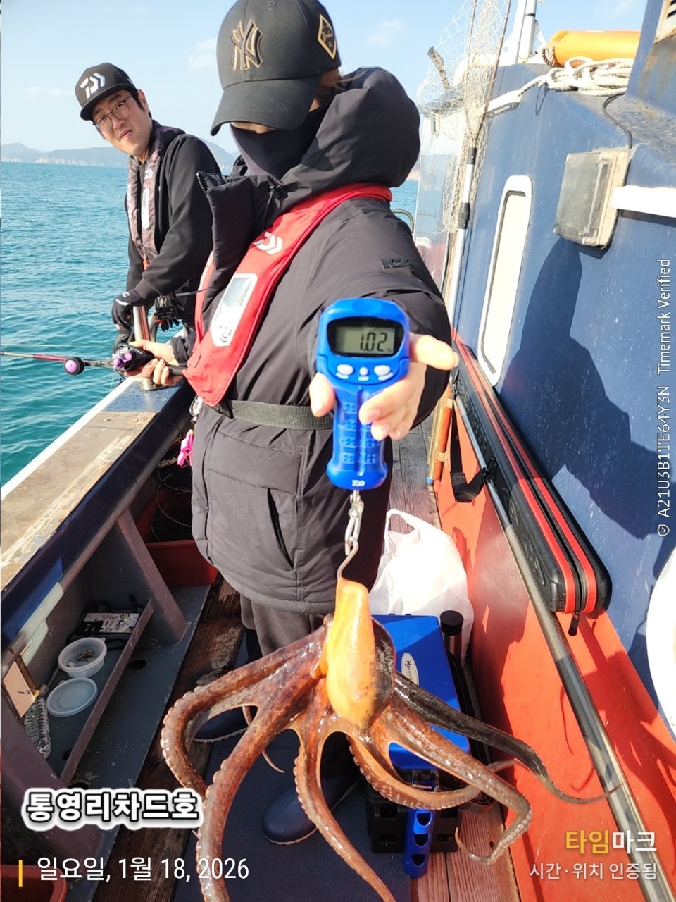 사용자가 올린 이미지