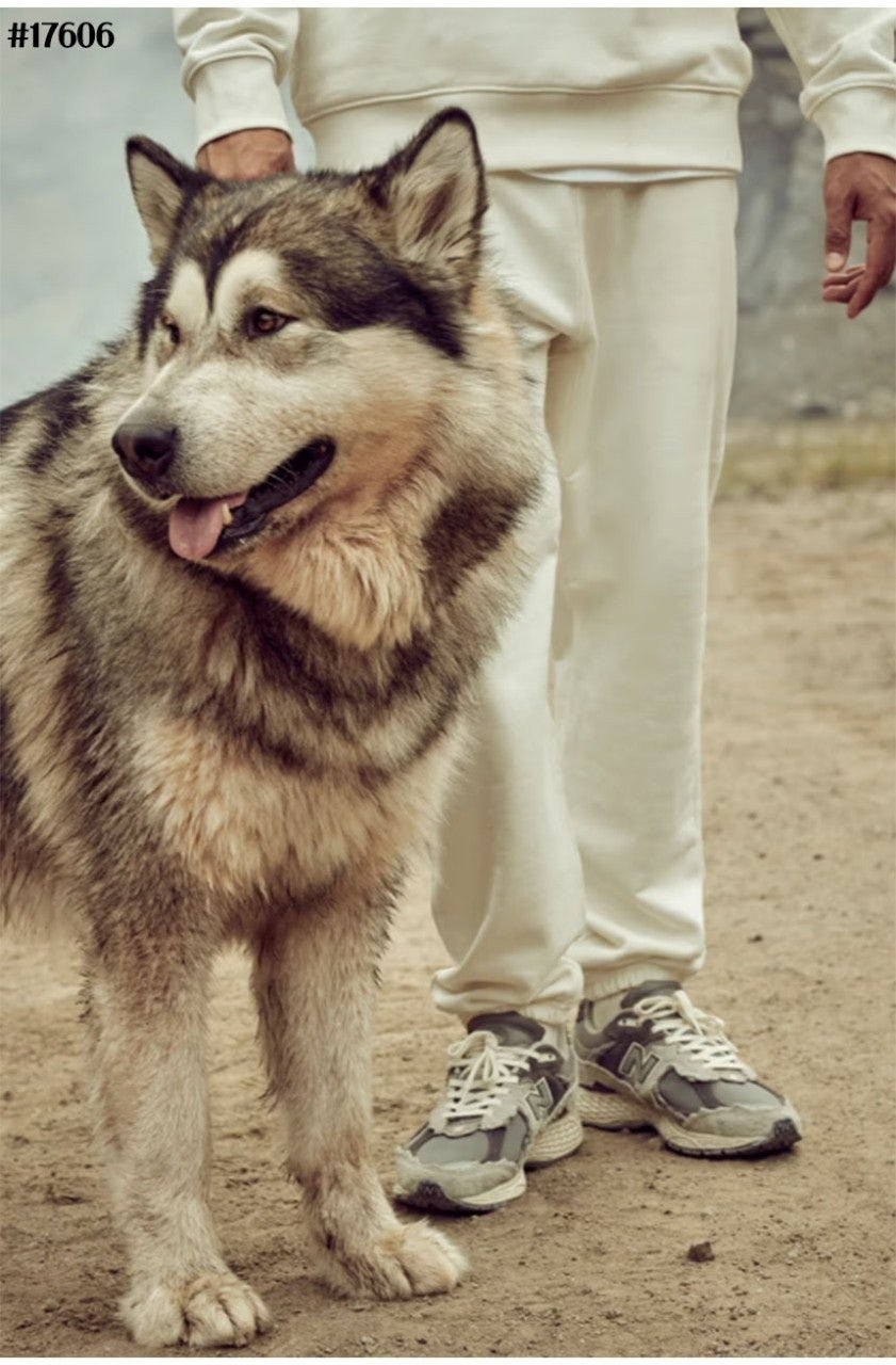 4_f64Ud018svc1n2c71e26q0dv_eg68cv.jpg?type=e1920_std