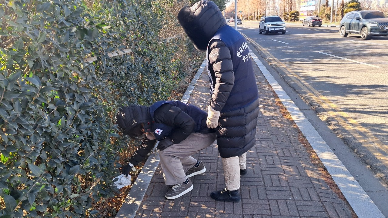 사용자가 올린 이미지