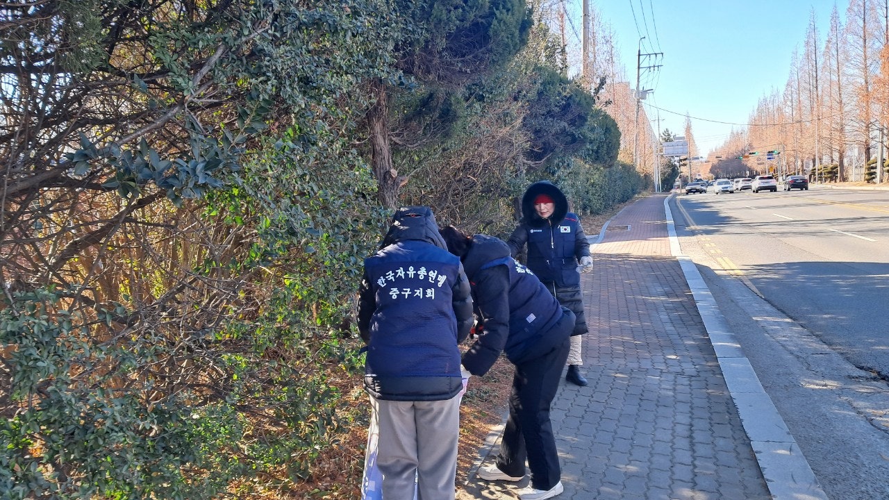 사용자가 올린 이미지