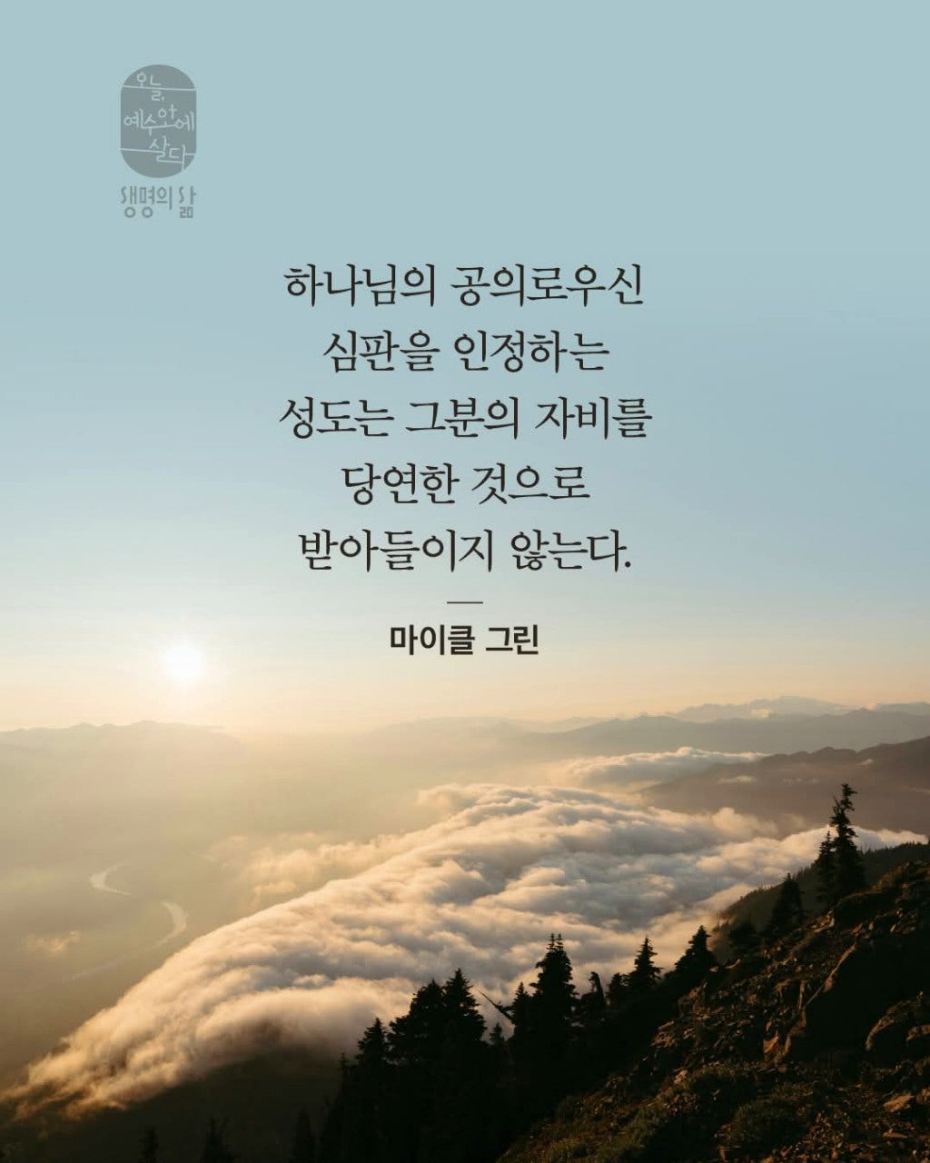 ����ڰ� �ø� �̹���