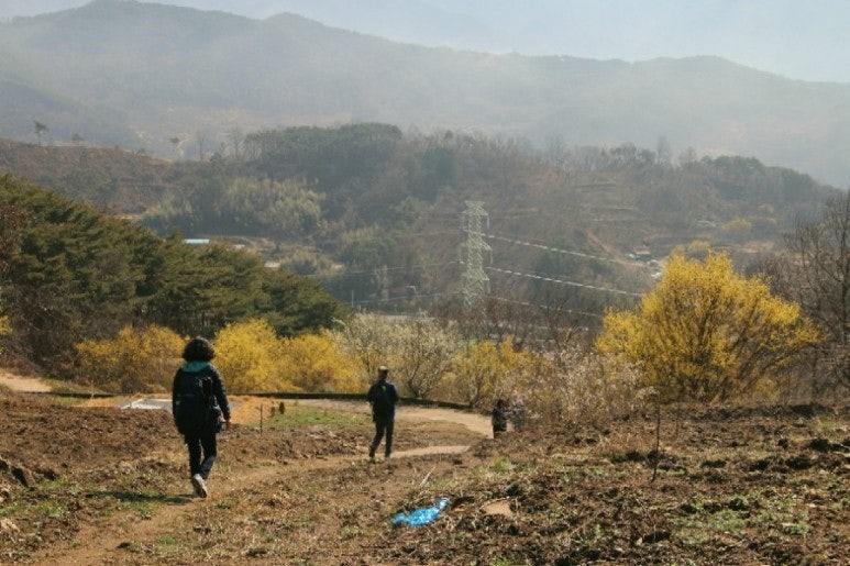 사용자가 올린 이미지