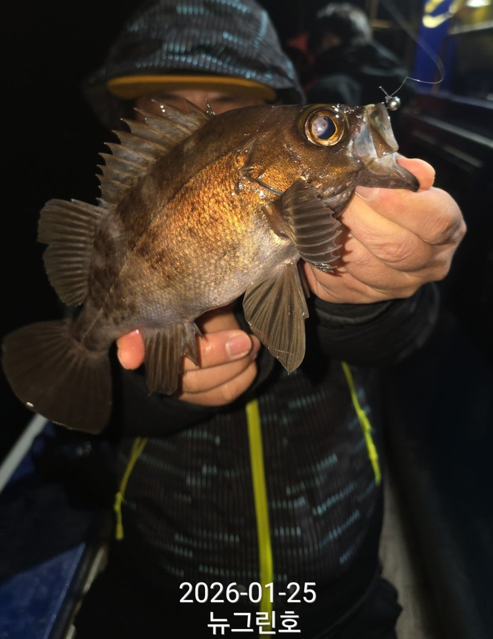 사용자가 올린 이미지