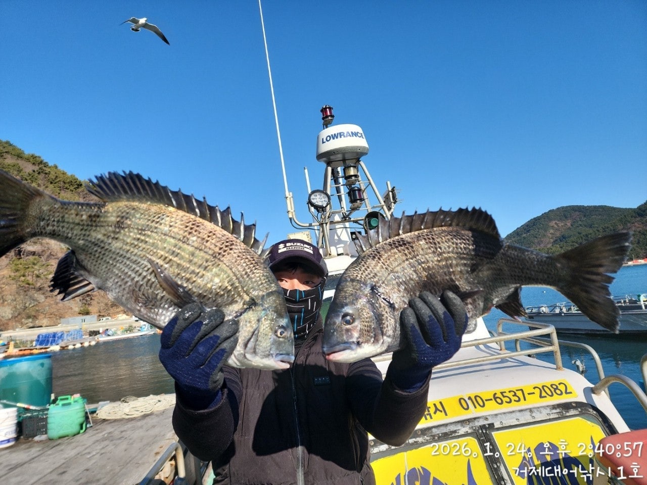 사용자가 올린 이미지