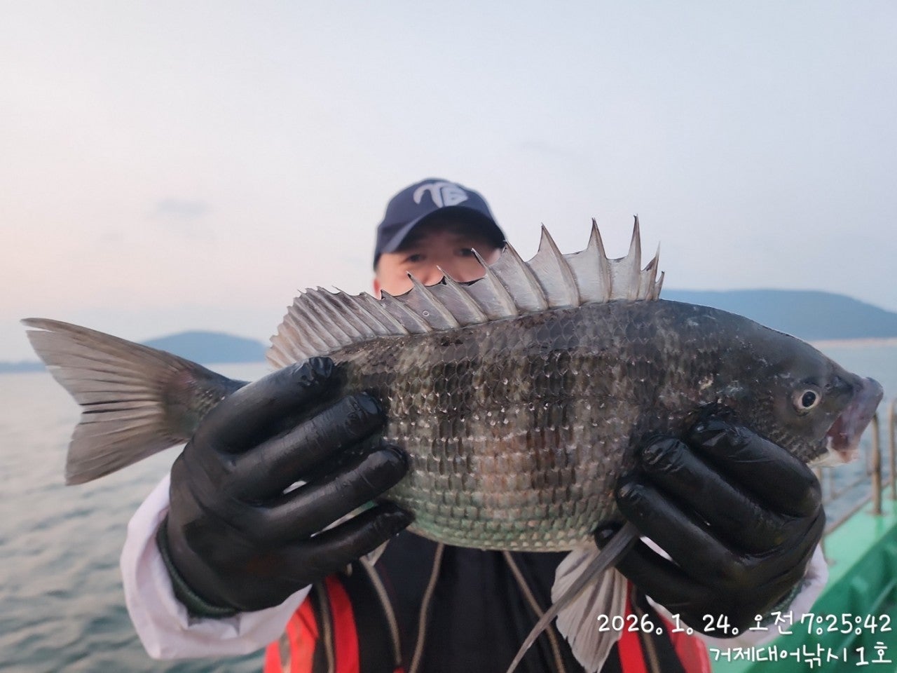 사용자가 올린 이미지