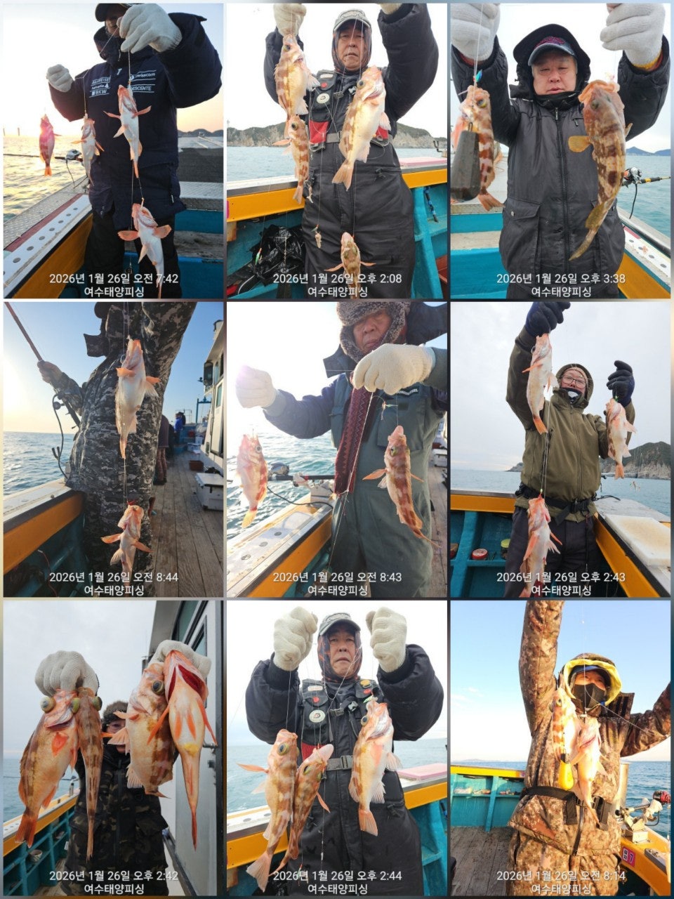 사용자가 올린 이미지