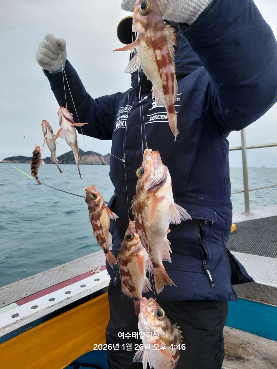 사용자가 올린 이미지