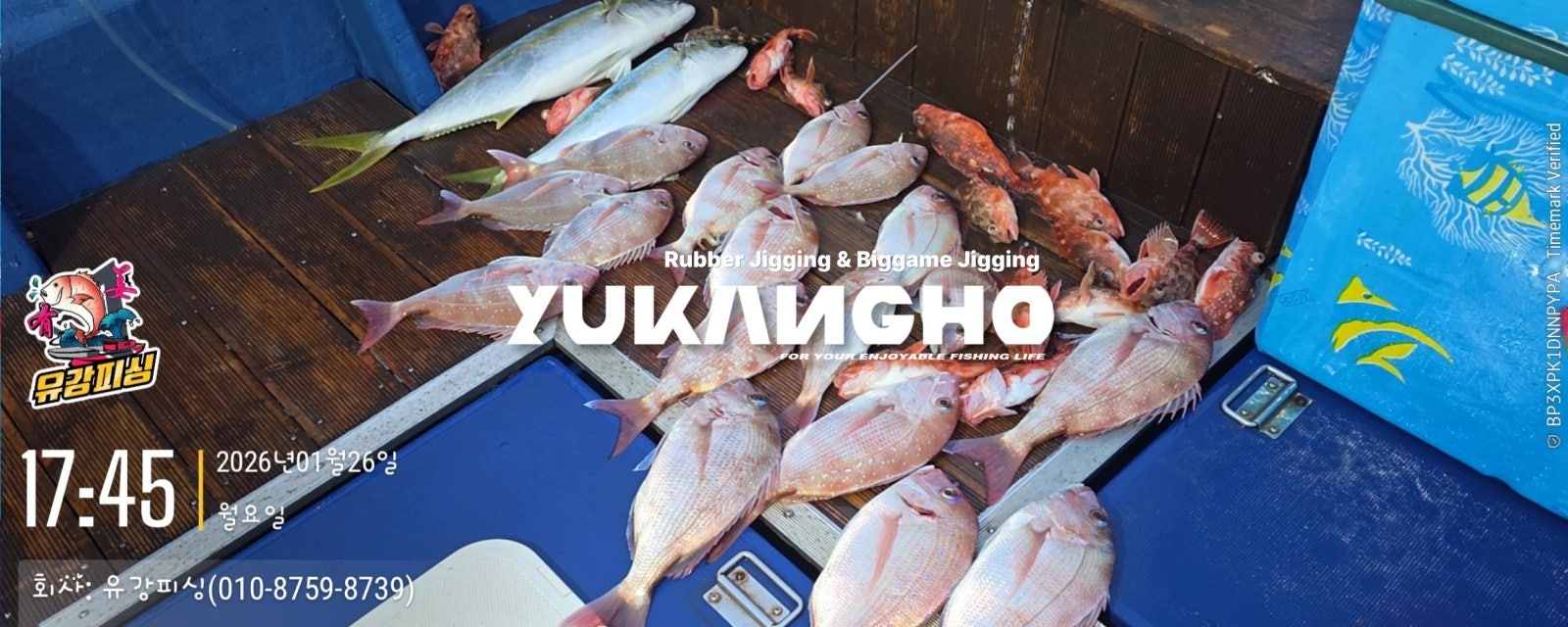 사용자가 올린 이미지