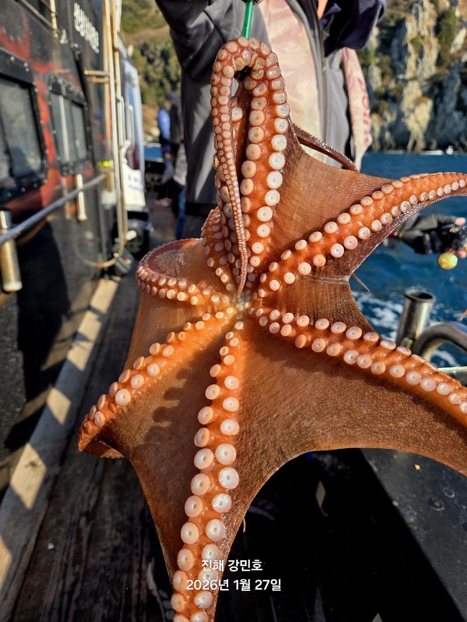 사용자가 올린 이미지