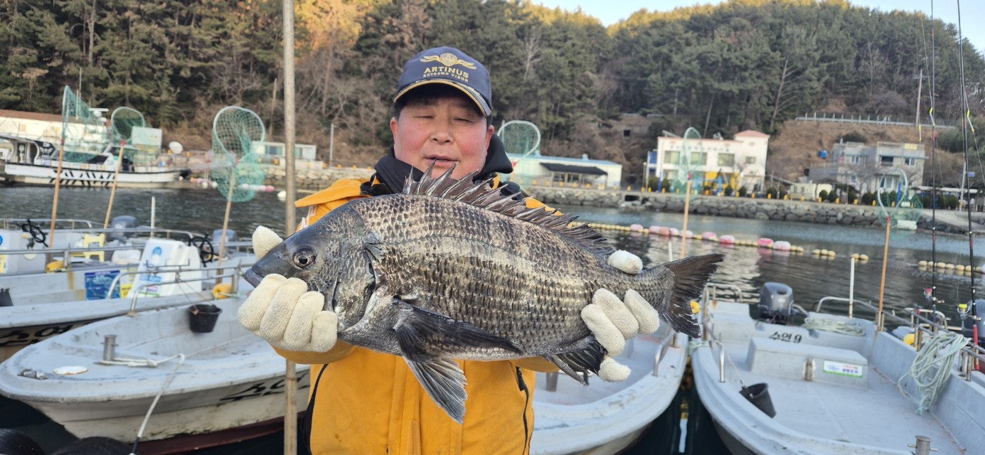 사용자가 올린 이미지