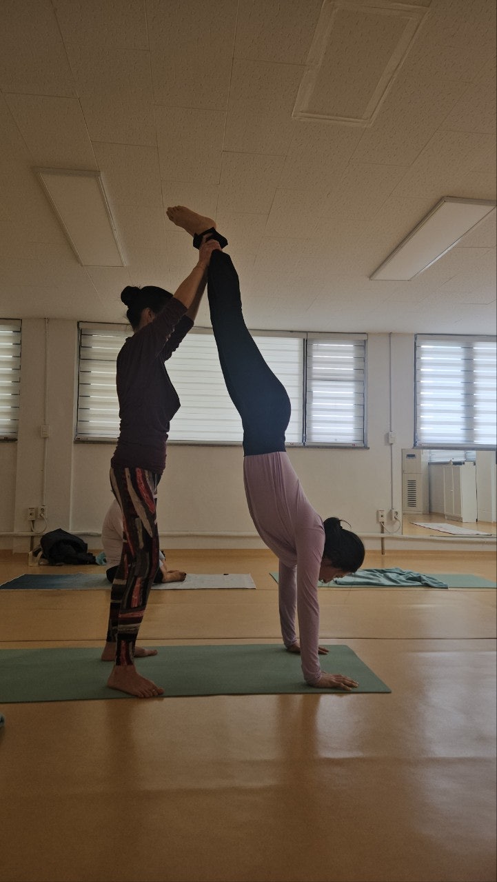 ����ڰ� �ø� �̹���