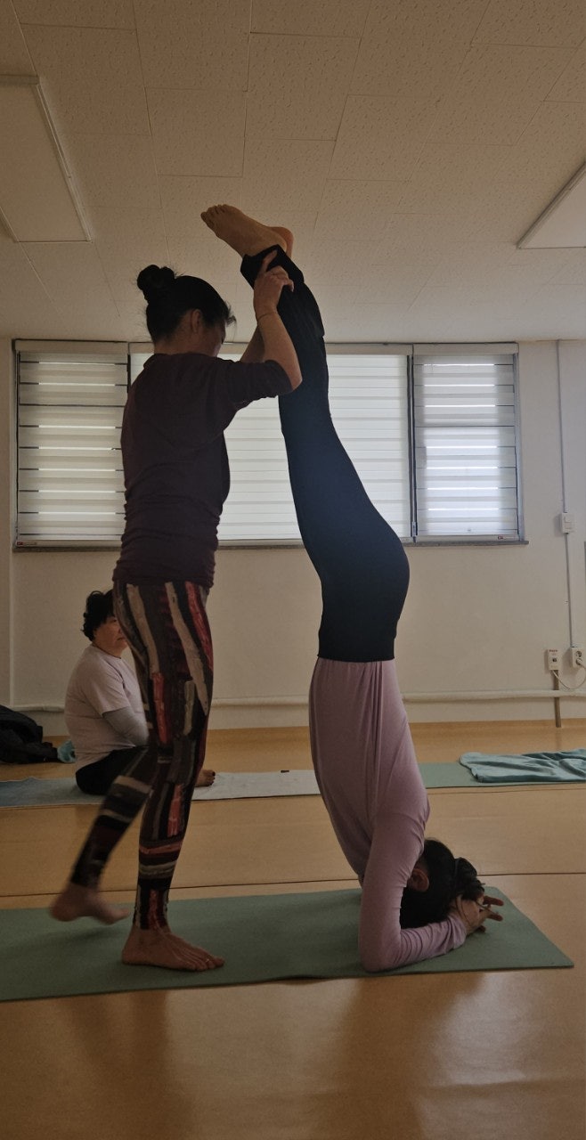 ����ڰ� �ø� �̹���