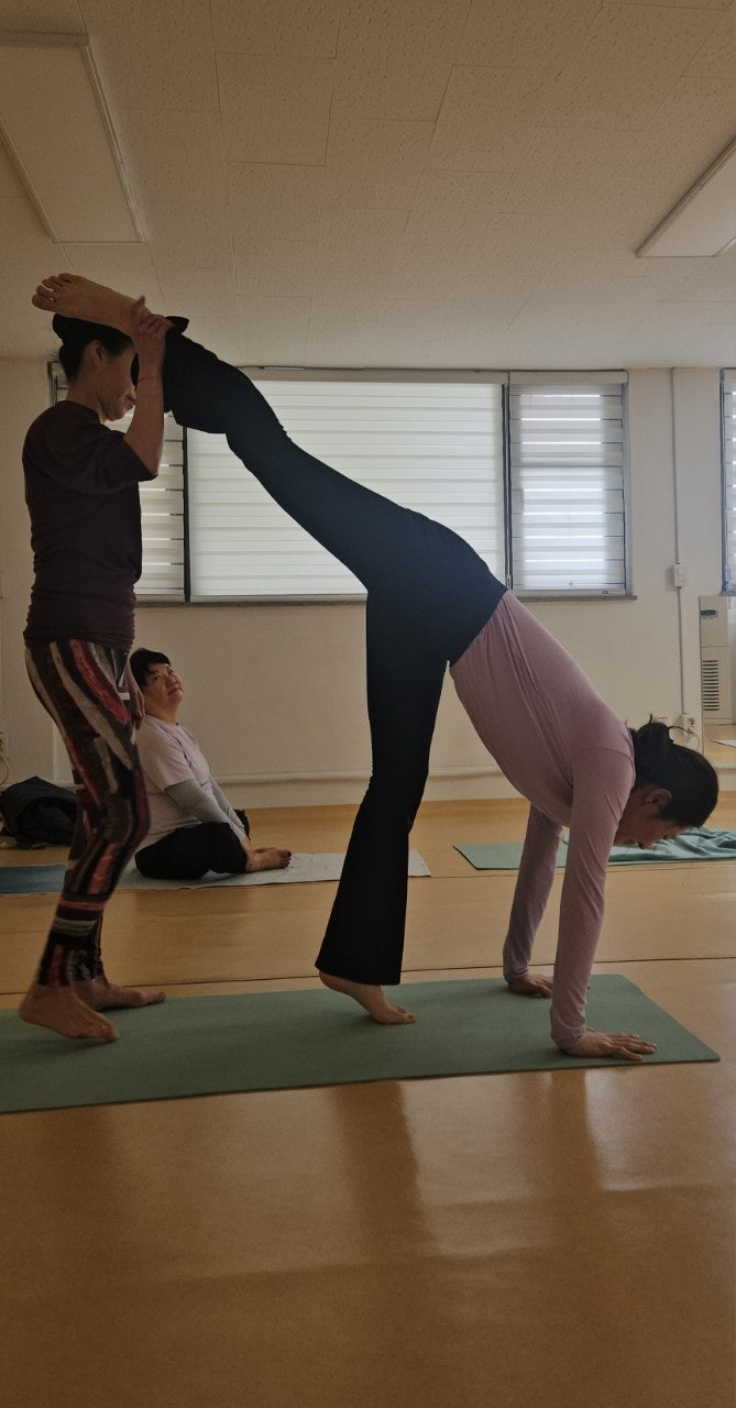 ����ڰ� �ø� �̹���